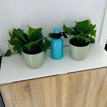 Precioso Centro Jerez * Jerez de la Frontera