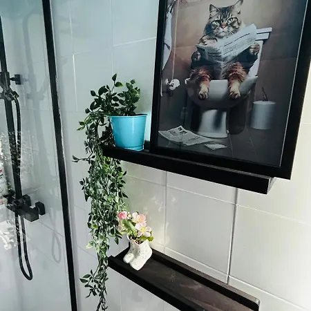 Appartement Precioso Centro Jerez *