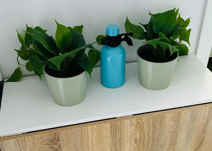 Precioso Centro Jerez * Jerez de la Frontera